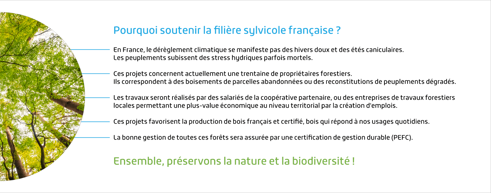 Re-Generation soutien filière sylvicole française